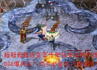 ������������̬����˽����ο���ˢBOSS����װ�����ֱر���������Щ��