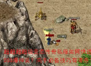 ������������̬����˽����ο���ˢBOSS����װ�����ֱر���������Щ��