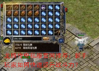 ���ڴ���˽�������Ƽ������������ο�������ս������