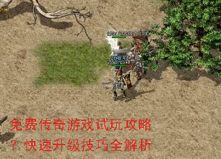 ��Ѵ�����Ϸ���湥�ԣ�������������ȫ����