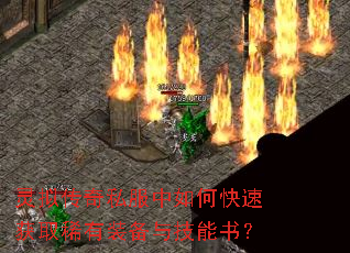 ���⴫��˽������ο��ٻ�ȡϡ��װ���뼼���飿