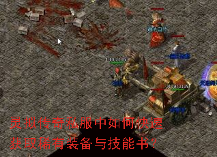 ���⴫��˽������ο��ٻ�ȡϡ��װ���뼼���飿