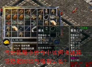 ����˽��С��������ο��ٽ�������BOSS��ϡ��װ����