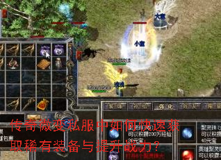 ����΢��˽������ο��ٻ�ȡϡ��װ��������ս����