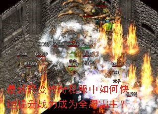 ������䴫��˽������ο�������ս����Ϊȫ��������