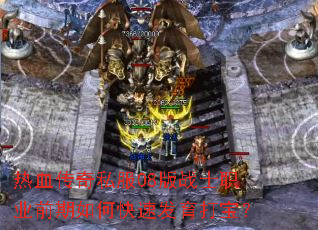 ��Ѫ����˽��08��սʿְҵǰ����ο��ٷ����򱦣�