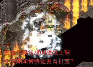 ��Ѫ����˽��08��սʿְҵǰ����ο��ٷ����򱦣�