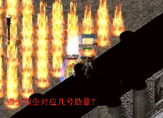 ��ʿְҵ��Ӧ����ѫ�£�