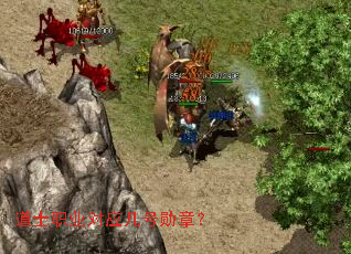 ��ʿְҵ��Ӧ����ѫ�£�