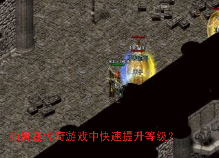 ����ڴ�����Ϸ�п��������ȼ���