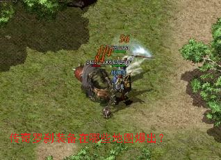 ������ɲװ������Щ��ͼ������