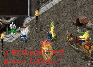 ����޸�����ս�������װ���е���Ϸ©����