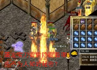 ��������������������Щ��Ϊ��֪�����ܣ�