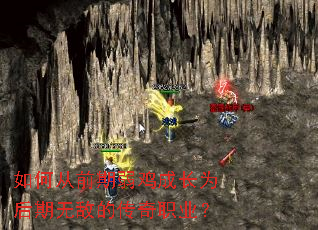 ��δ�ǰ�������ɳ�Ϊ�����޵еĴ���ְҵ��