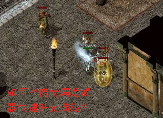 ��ν���������������������������