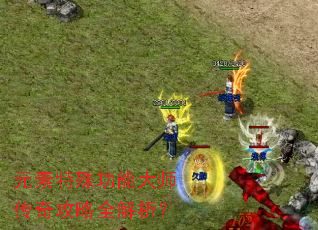 Ԫ�����⹦�ܴ�ʦ���湥��ȫ������