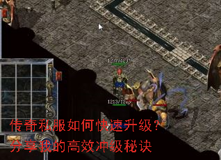 ����˽����ο��������������ҵĸ�Ч�弶�ؾ�