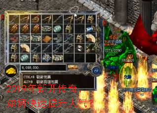 2019���¿����棬��ο�������������