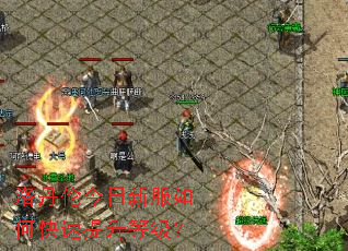 �嵤�׽����·���ο��������ȼ���