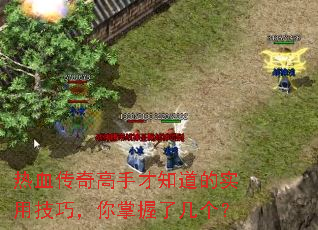 ��Ѫ������ֲ�֪����ʵ�ü��ɣ��������˼�����