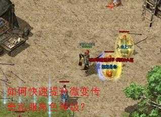 ��ο�������΢�䴫��˽����ɫ�ȼ���