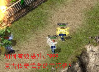 �����Ч����sf999���Ŵ�������������ֵ��