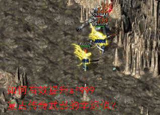 �����Ч����sf999���Ŵ�������������ֵ��