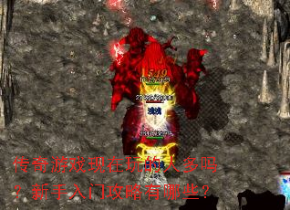 ������Ϸ��������˶����������Ź�������Щ��