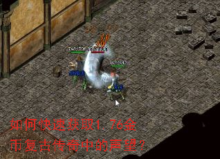 ��ο��ٻ�ȡ1.76��Ҹ��Ŵ����е�������