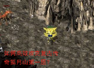 ��θ�Ч���˸��Ŵ������ɽ��һ�㣿