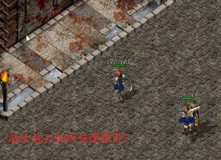 սʿս����ο���������