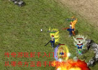 ������Ϸ�������ţ��ô���Щ��������̽����