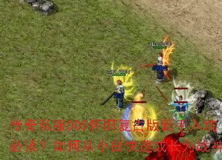 ����˽��005���ɸ��Ű�������ӱض�����δ�С�׿��ٳɳ�Ϊս��