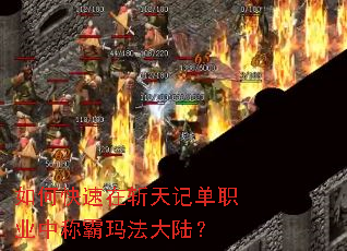 ��ο�����ն��ǵ�ְҵ�гư��귨��½��