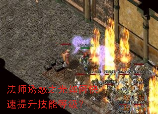 ��ʦ�ջ�֮����ο����������ܵȼ���