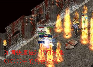 ��ο�����������˽���������еĽ�ɫ�ȼ���