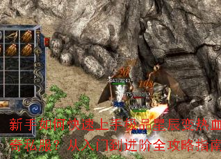 ������ο������ּ�Ʒ�ǳ�����Ѫ����˽���������ŵ�����ȫ����ָ��