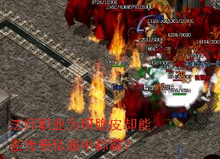 ��ʦְҵΪ�δ�Ƥȴ���ڴ���˽���гưԣ�