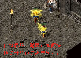 ����˽����ͨ�棺��ο���������ɫ�ȼ���ս����