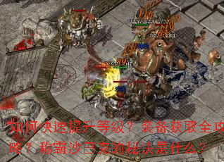 ��ο��������ȼ���װ����ȡȫ���ԣ��ư�ɳ�Ϳ˵��ؾ���ʲô��