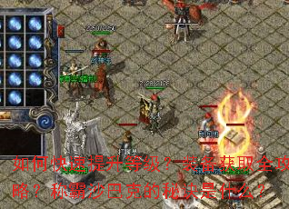 ��ο��������ȼ���װ����ȡȫ���ԣ��ư�ɳ�Ϳ˵��ؾ���ʲô��