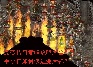 ��̬�����۷幥�Դ�ȫ������С����ο��ٱ����