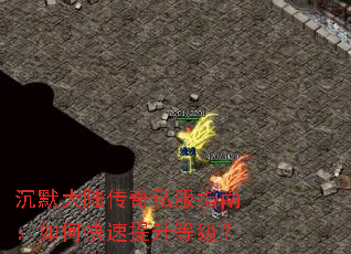 ��Ĭ��½����˽��ָ�ϣ���ο��������ȼ���