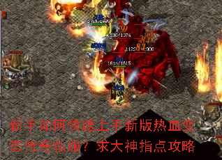 ������ο��������°���Ѫ��̬����˽���������ָ�㹥��