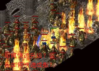 ��ο���������װ����ο��ٳ��ͣ�