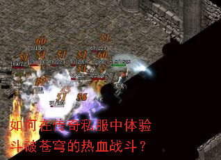 ����ڴ���˽�������鶷�Ʋ�����Ѫս����