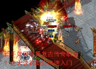 �������ѡ�񸴹Ŵ���ְҵ��������������������