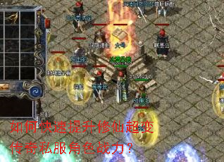 ��ο����������ɳ��䴫��˽����ɫս����