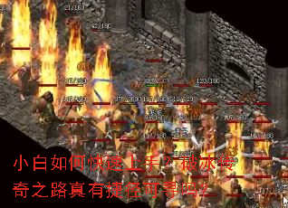 С����ο������֣��Ʊ�����֮·���нݾ���Ѱ��