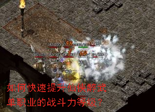 ��ο��������������䵥ְҵ��ս�����ȼ���